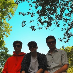 The Harmony Brothers