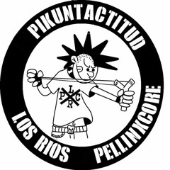 Pikuntactitud