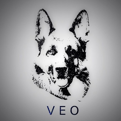 VEO’s avatar