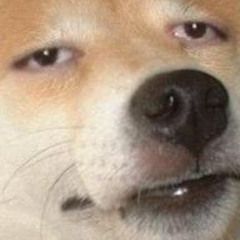Kronicx Doge