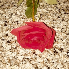 Pulchritudinious Melanin