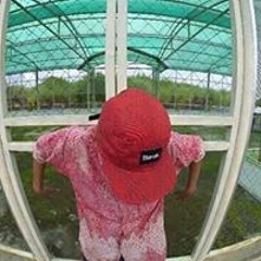 Phakink_hdsm