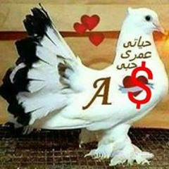 سهي ابراهيم