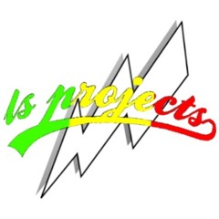 lewis simons projects