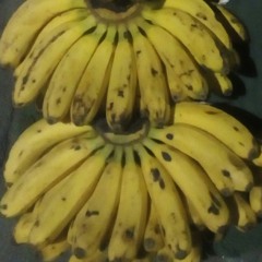 buhaysaging