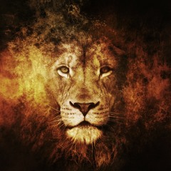 Certified Lion 🦁