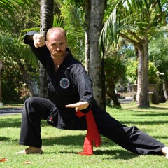Stefano Targa