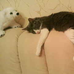 Владимир Нескажу