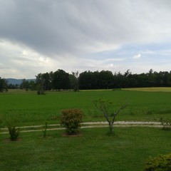 balbusard