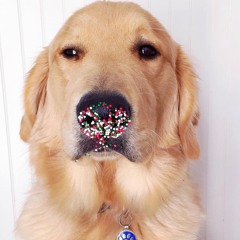 Katrina Cookie Roller