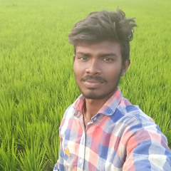 Gottiparthi Ramanjanelu