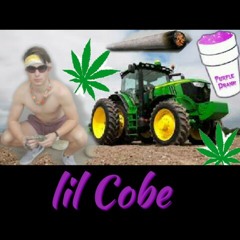 lil Cobe