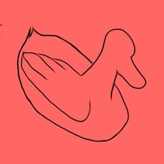 The Wine Club And Wine Talk