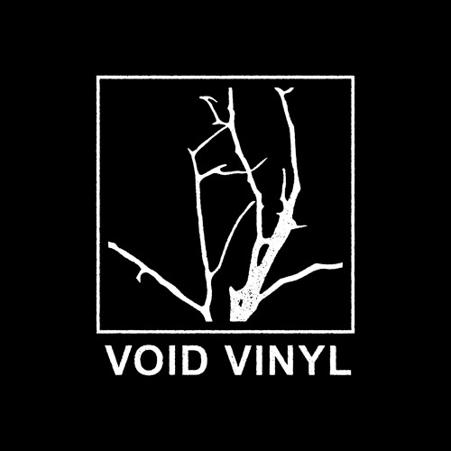 Void Vinyl’s avatar