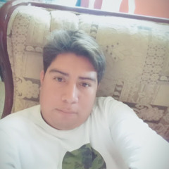 Luis Bruno
