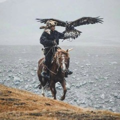 سمية الغايش