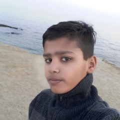 Mohid Ali Atique