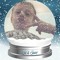 Layton Longstaff