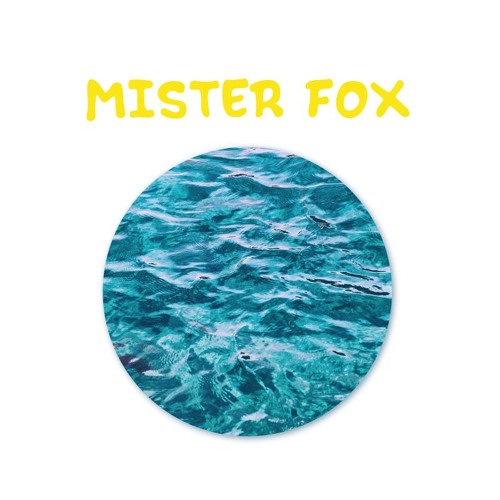 Mister Fox’s avatar