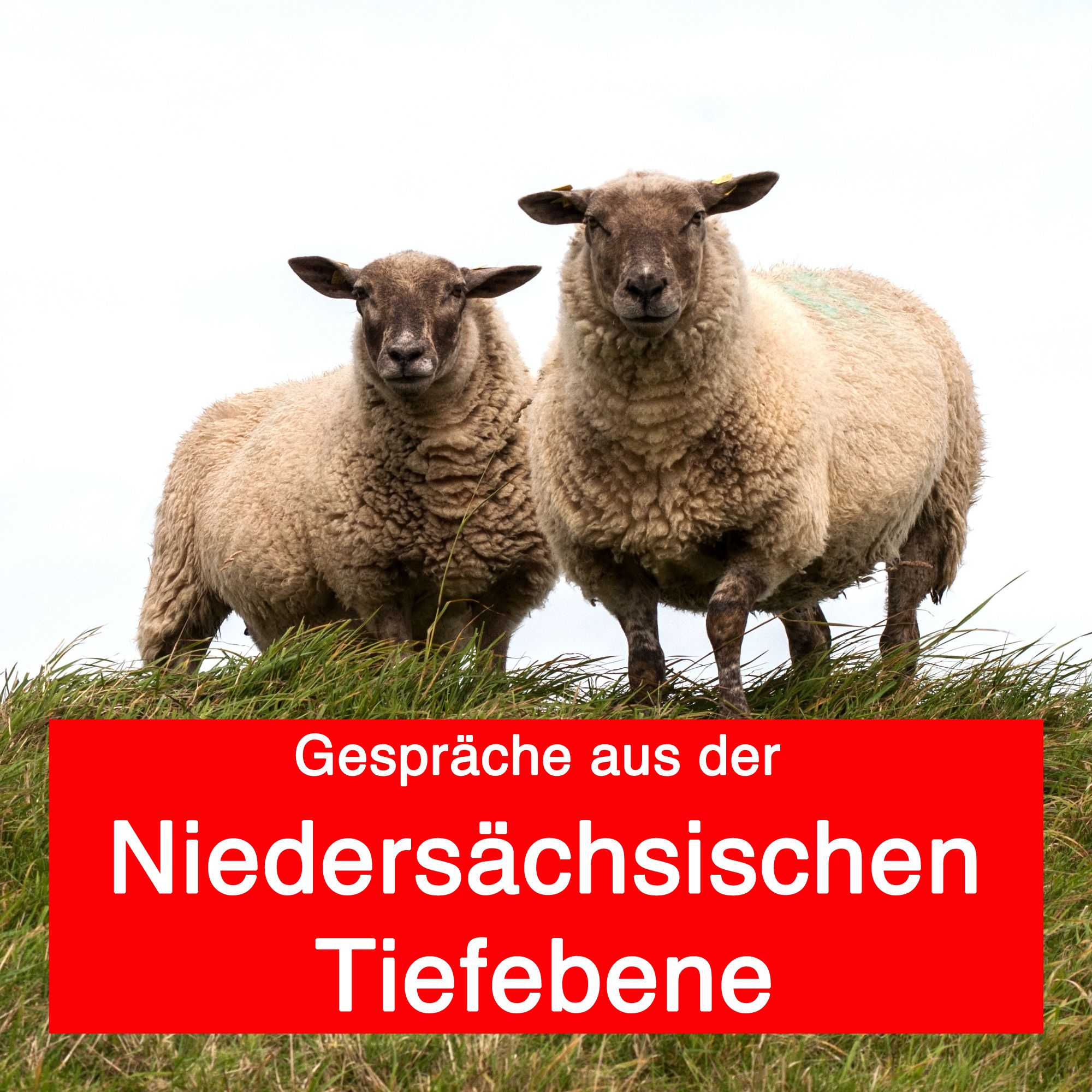 Niedersaechsische Tiefebene
