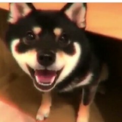 kody
