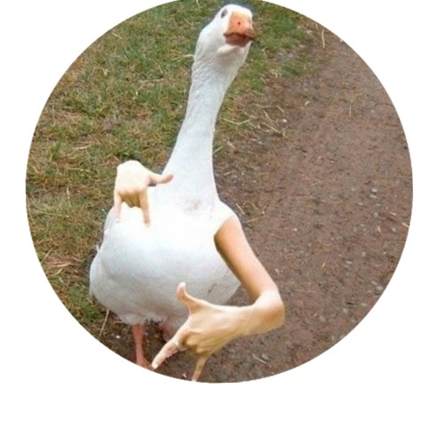 LooseXGoose016’s avatar