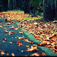 ฿ĂĐΣГ--ĂΪ--₥Ǿ₥Ă₦Ϊ