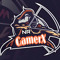 NR gamerX