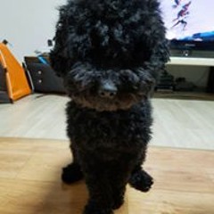 오유성