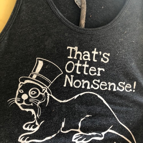 Otter Nonsense: The Camp Otterdale Podcast’s avatar