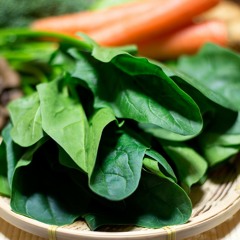 Spinach HIRANO