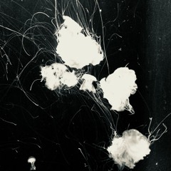 JØ