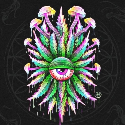 Weed Included Audio’s avatar