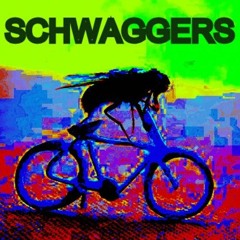 The Schwaggers