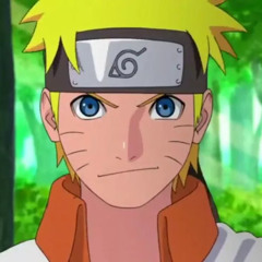 Naruto the ninja