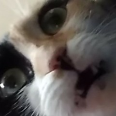 hypn0ow