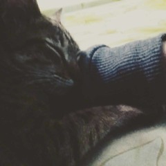 {bản nháp số 2} chẳng vấn vương (prod. Pastel)