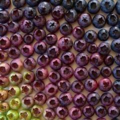 Кира Ищенко