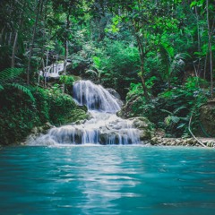 Tropical Beats