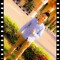 Fares Afandyna
