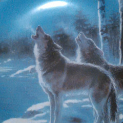 Cursed Wolf