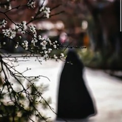 Waratha