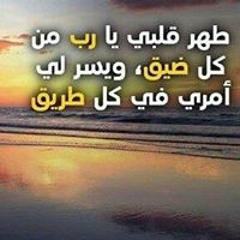 sh3by