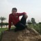 youssefwolf