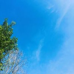 Dương Hồng Ngọc