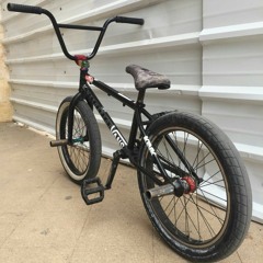 Саша Лебедь