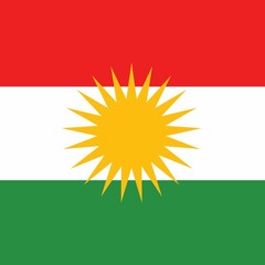Havelno❗️ Em Leşkere PKK Ne❗️