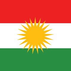 Havelno❗️ Em Leşkere PKK Ne❗️