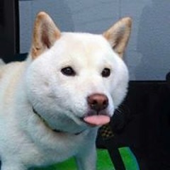 문현규