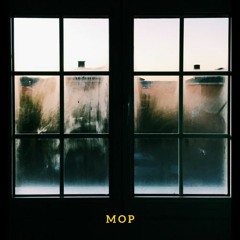 Mop